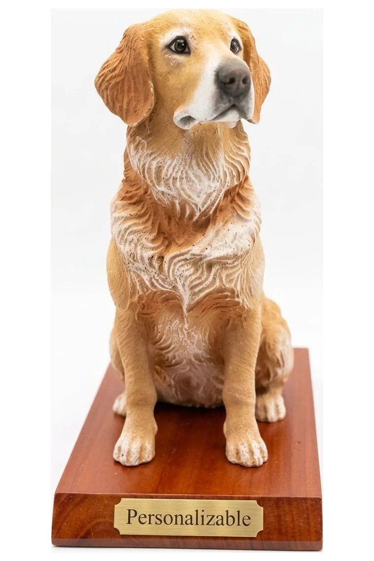 Golden Retriever — foto 1