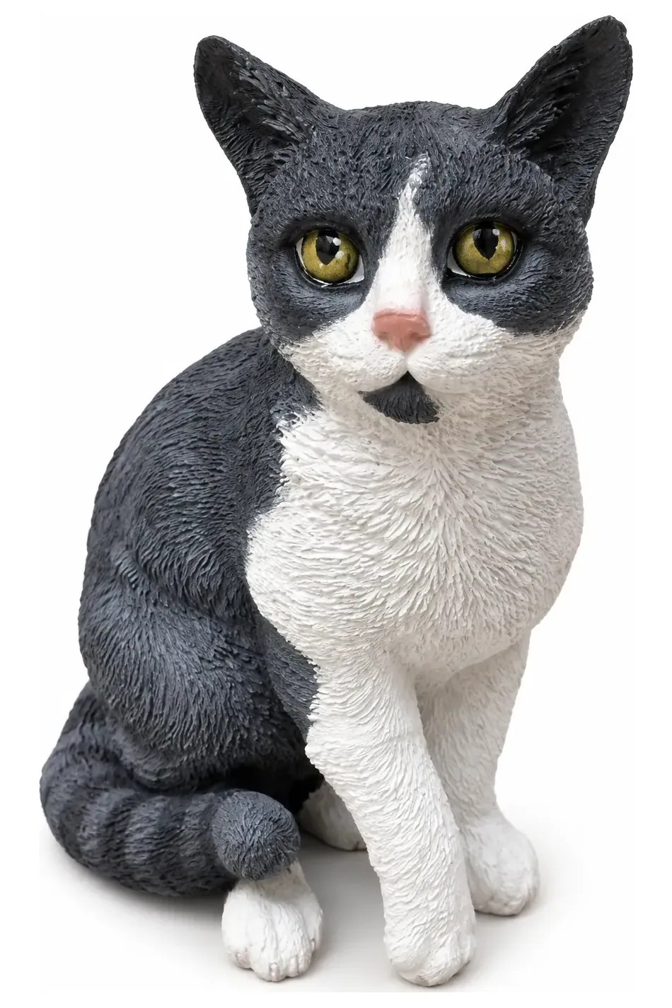 Gato criollo — foto 1