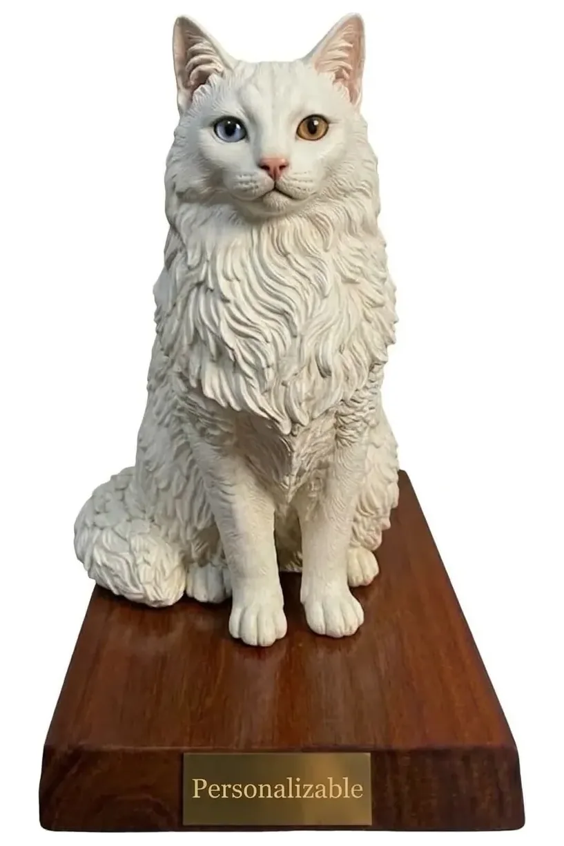 Angora Turco — foto 1