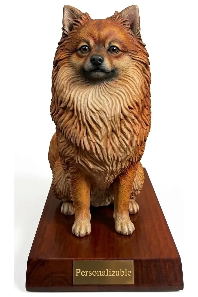 Pomerania — foto 1